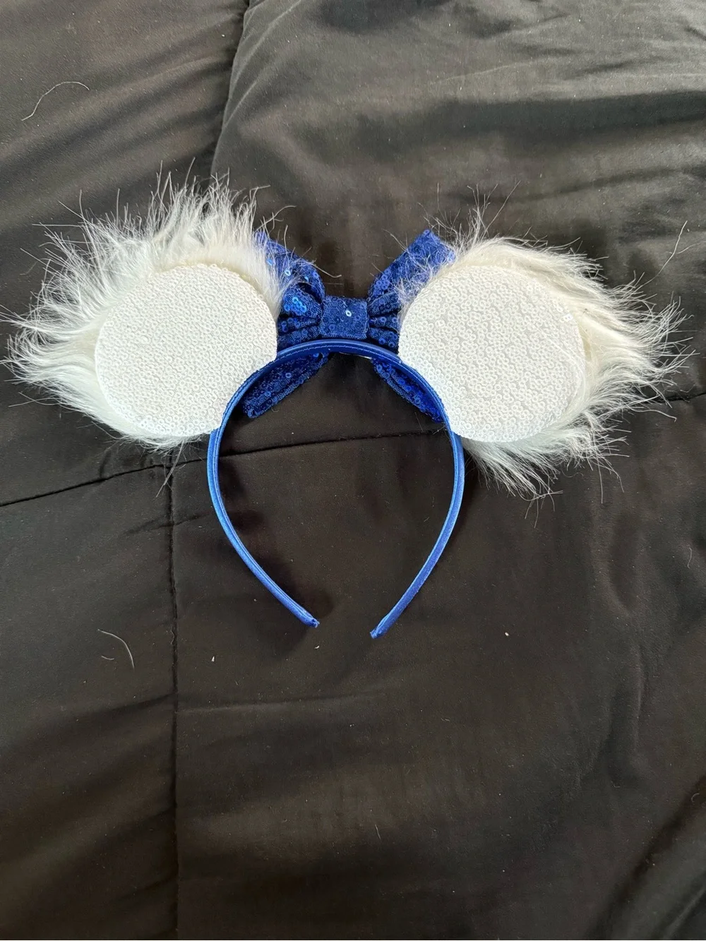 Donald Mickey Ears